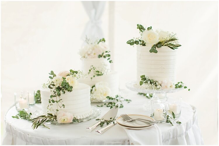 CT Simple White Greenery Wedding Cake Display