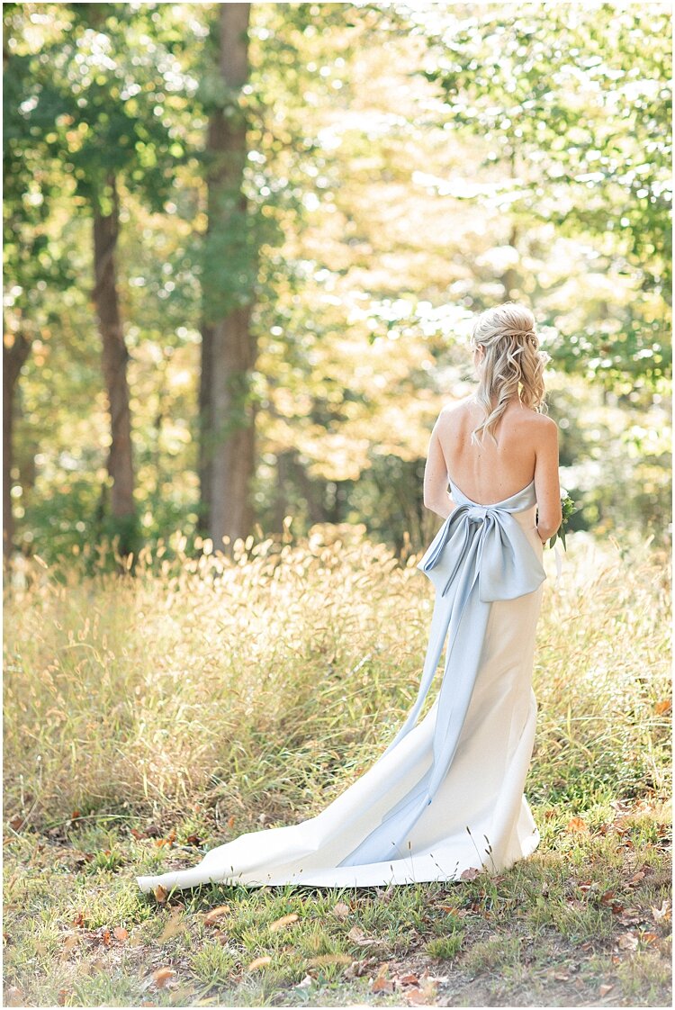 Preppy Elegant Blue Wedding Dress